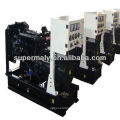 ricardo diesel generator with CE